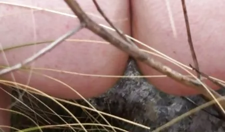 2. українське красиве порно відео перетягніть Уейн літо