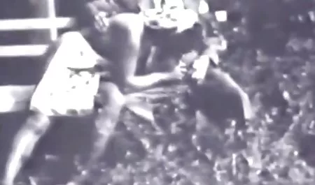 Логан, Арія красиві дівчата в панчохах відео порно нові таланти